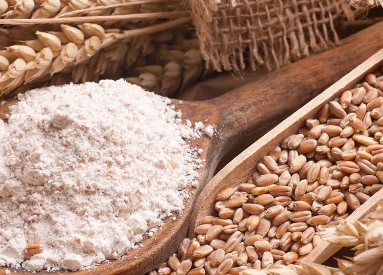 Balanzas para agricultura y agroindustria